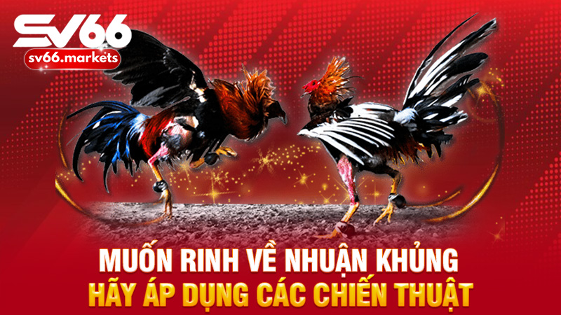 Muốn rinh về nhuận khủng hãy áp dụng các chiến thuật
